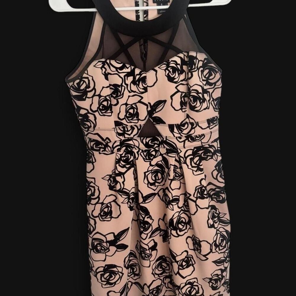 Enfocus-studio Women's Black and Pink Dress